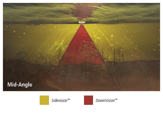 SideVision-and-DownVision